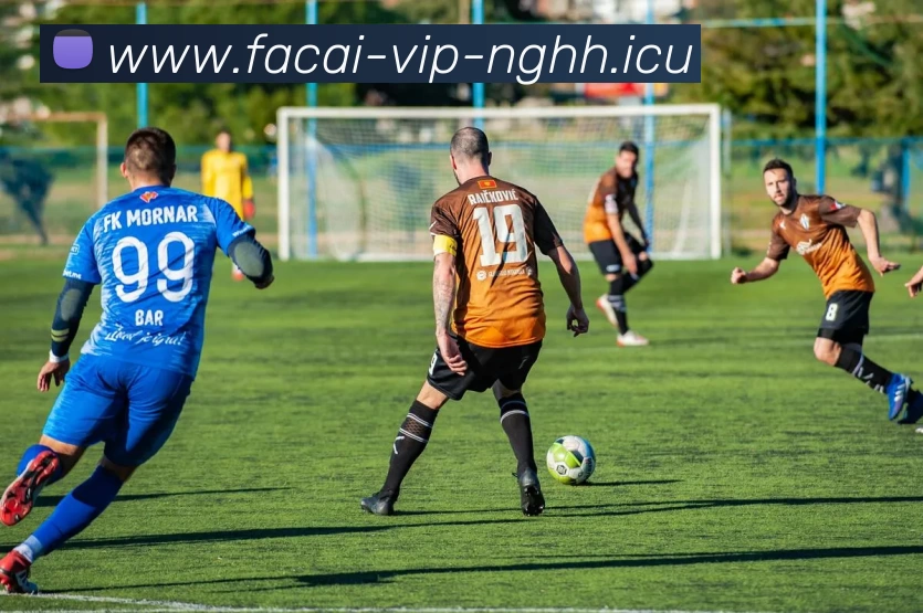 乐竞体育注册服务体系